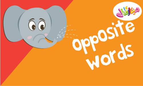 opposite words